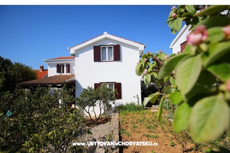 Apartmaji NIKA – foto 4