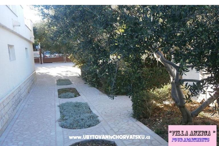 Apartmaji Villa Ankica – foto 10