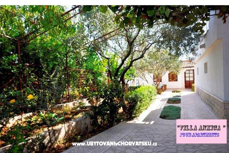 Apartmaji Villa Ankica – foto 6
