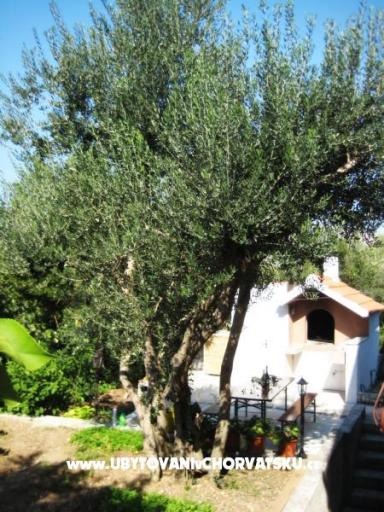 Apartmaji Vukovic – foto 13