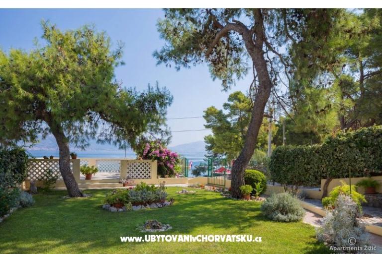 Apartmaji Žižić – foto 7