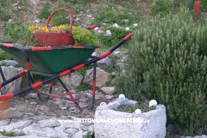 Carmen Apartmaji – foto 15