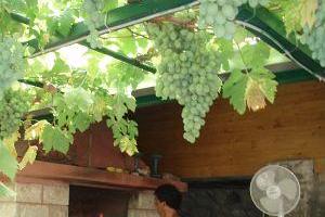 Apartmaji Matijaca – foto 4