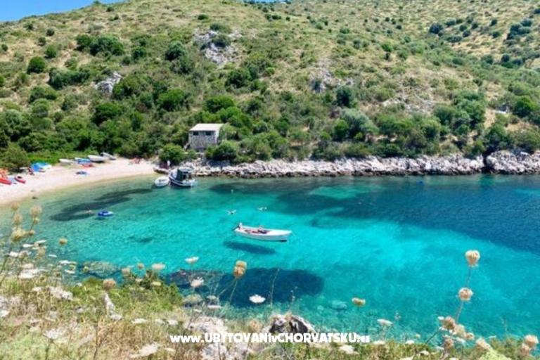 Dream View Apartmaji Dalmatia – foto 6
