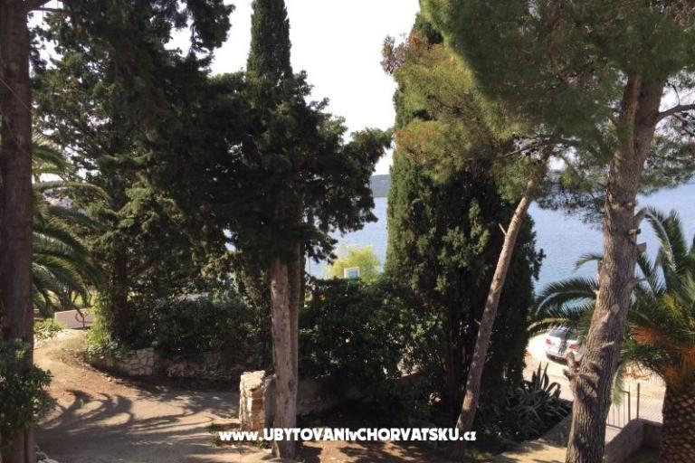 Island oasis – foto 2