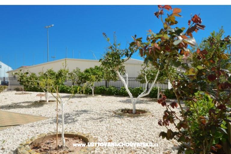 Simba Apartmaji – foto 3