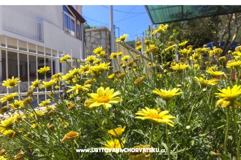 Apartmaji Katarina Čiovo – foto 11