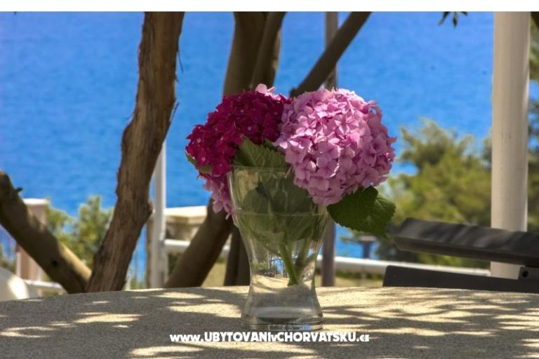 Apartmaji Katarina Čiovo – foto 9