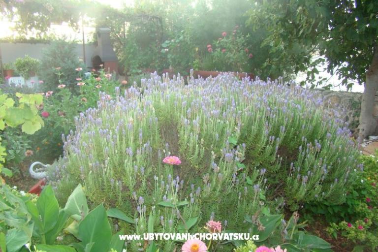 Apartmaji Villa Milena – foto 6