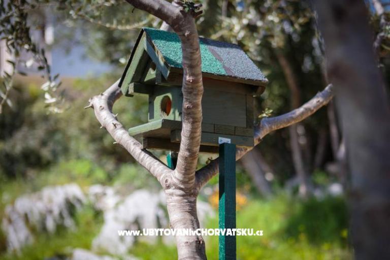 Hiša Tea in a beautiful nature – foto 8