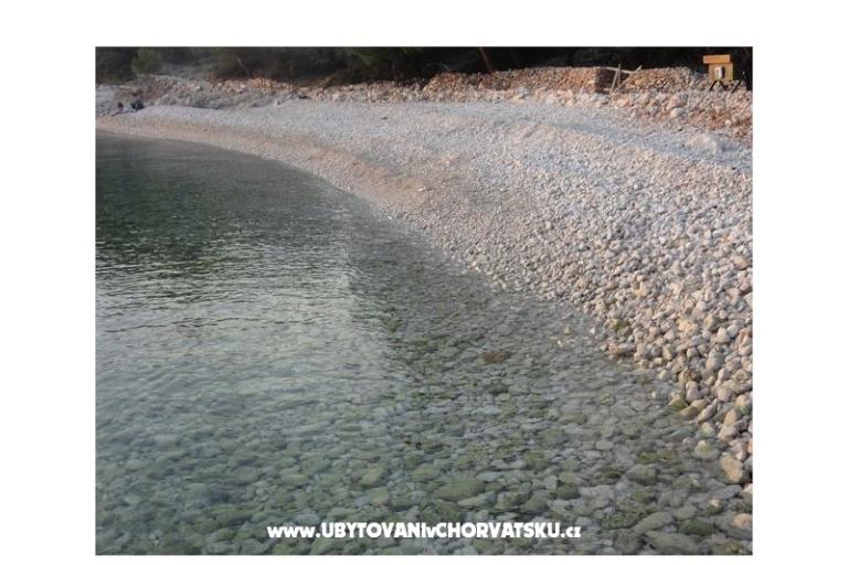 Villa Viktor  – foto 12