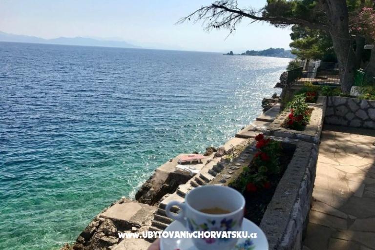 Apartmaji Trapanezi – foto 11