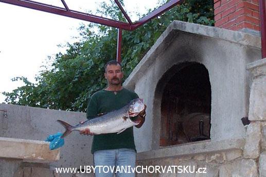 Majo Apartmaji – foto 7