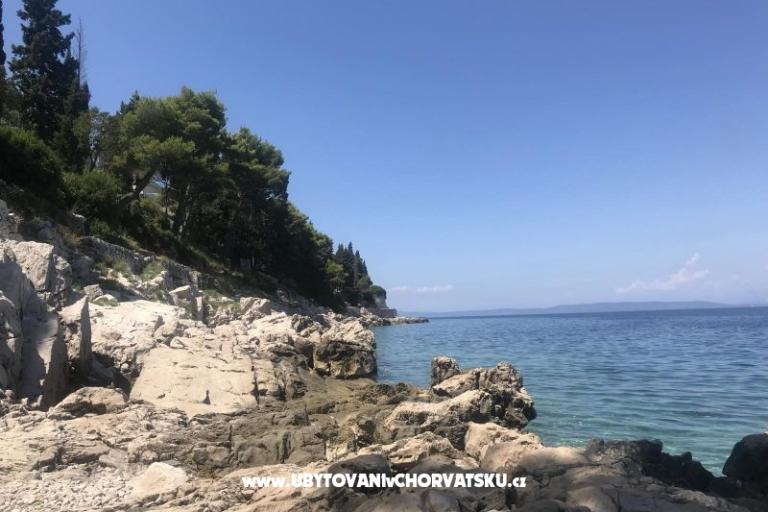 Vila Nautilus luxury Apartmaji – foto 20