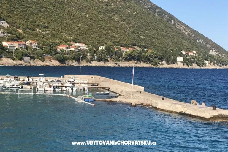 Vila Nautilus luxury Apartmaji – foto 22