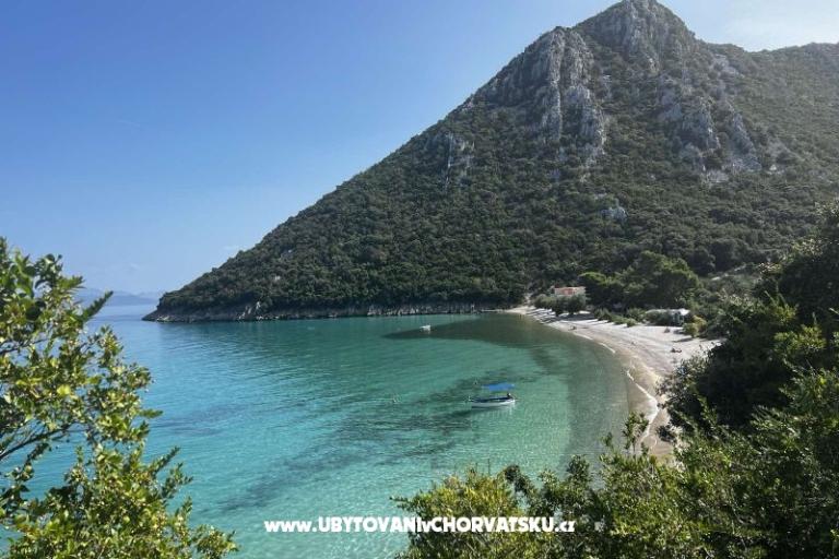 Vila Nautilus luxury Apartmaji – foto 8