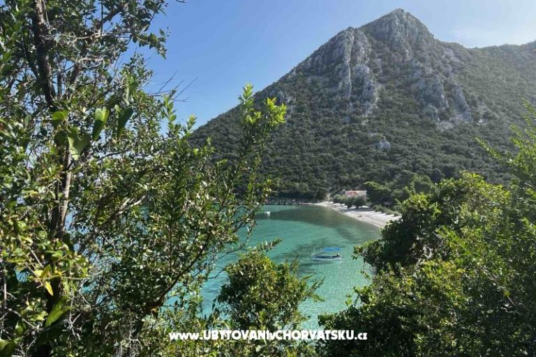 Vila Nautilus luxury Apartmaji – foto 9