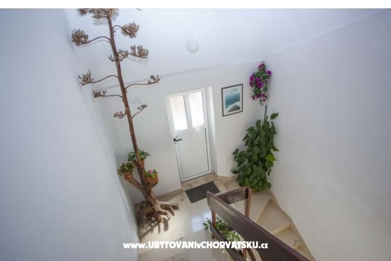 Apartma Braco i Diana – foto 14