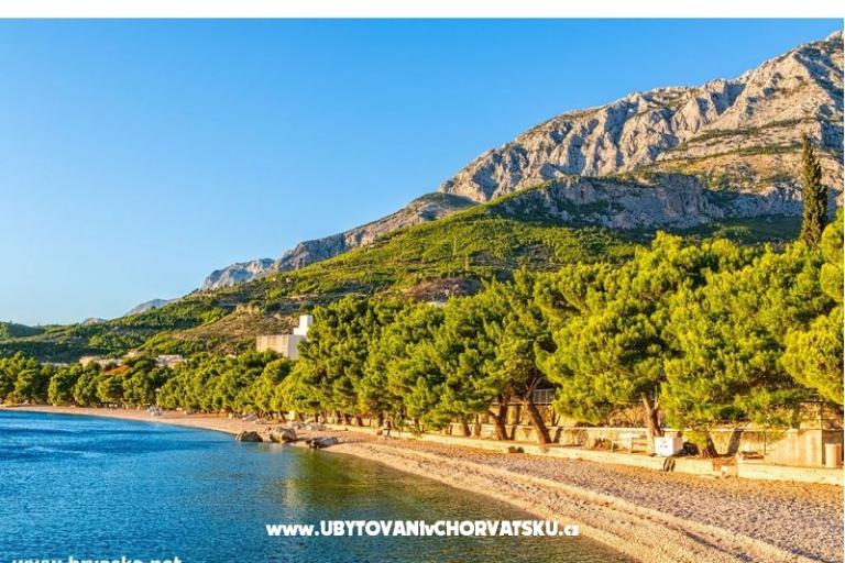 Apartmaji Amarilis – foto 17