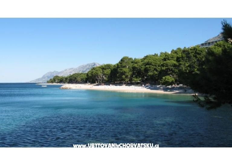 Apartmaji Amarilis – foto 18