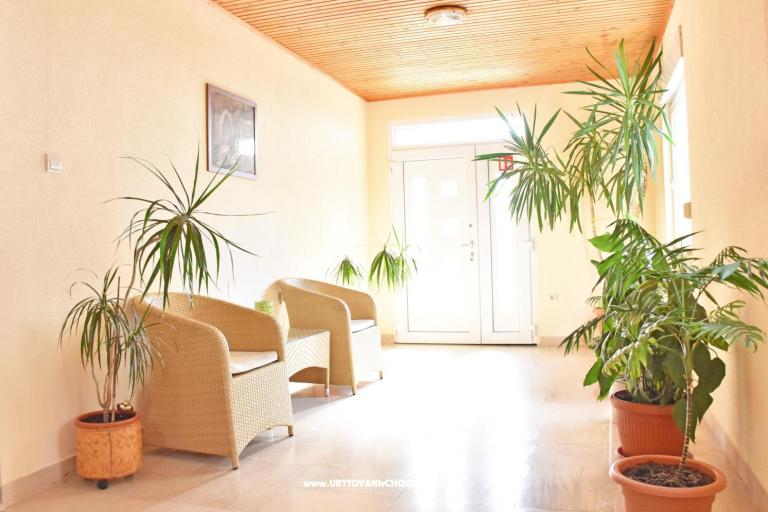 Apartmaji Stone  Tučepi  – foto 8