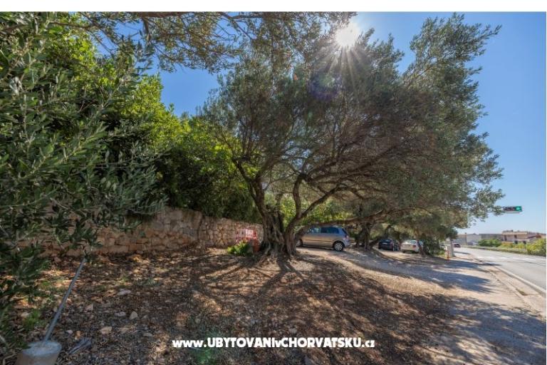 Apartmaji Marta – foto 18