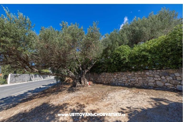 Apartmaji Marta – foto 19