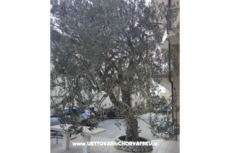 Apartmaji Mena – foto 4