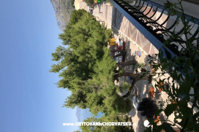 Apartmaji Mihaljević-Olea – foto 10