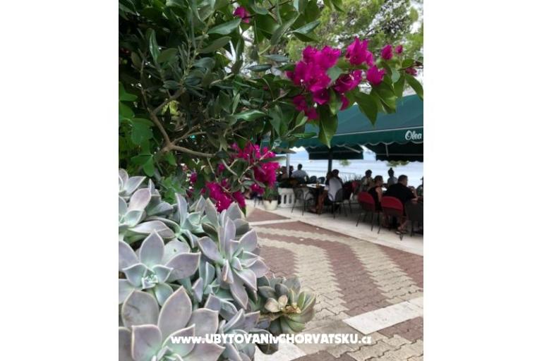 Apartmaji Mihaljević-Olea – foto 18