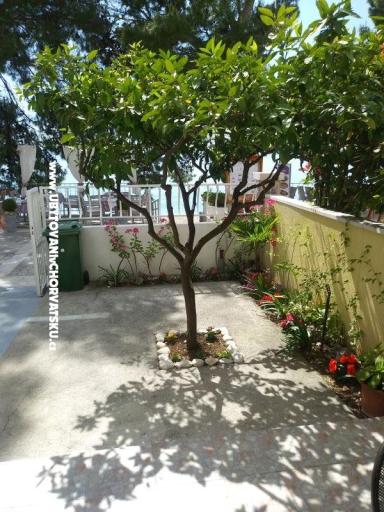 Apartmaji Mija – foto 10