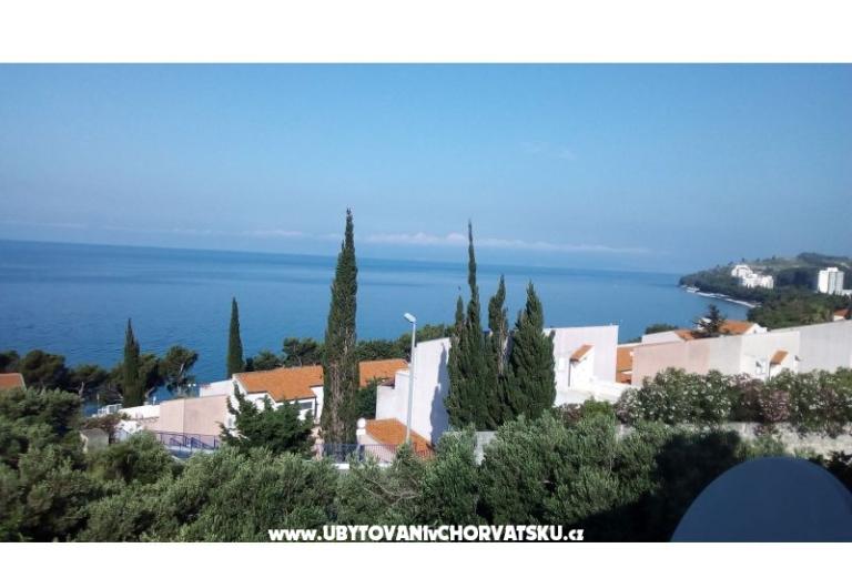 Apartmaji Mitan – foto 6