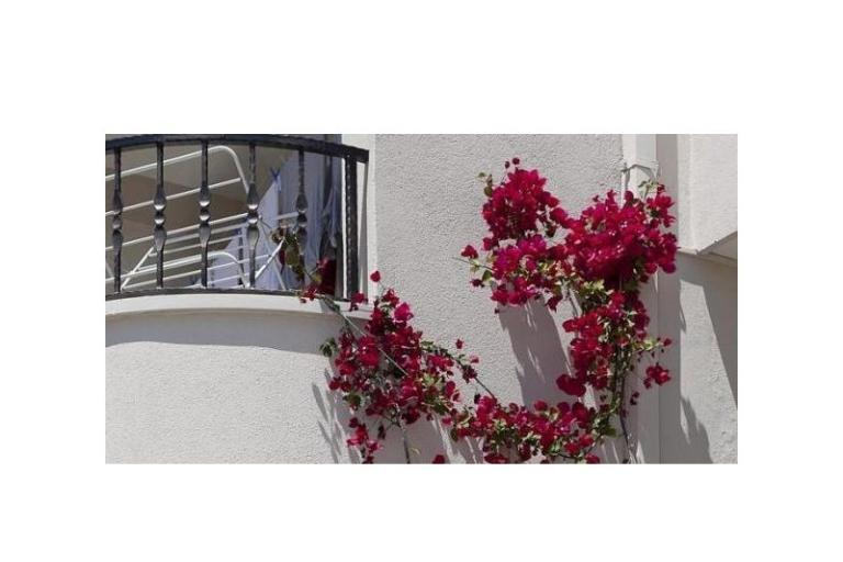 Apartmaji Suzana i Zlatan – foto 8