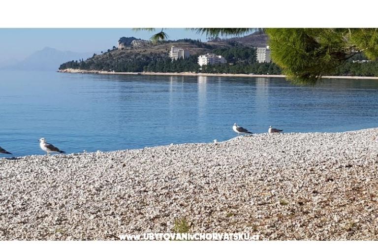 Apartmaji IKO - Tučepi – foto 10