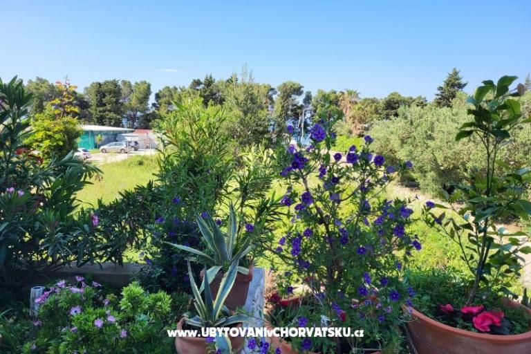 Apartmaji IKO - Tučepi – foto 20