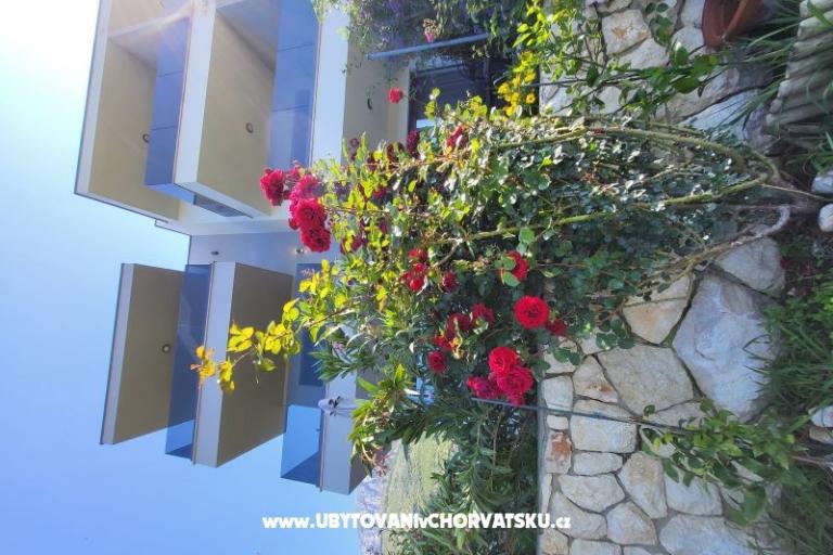 Apartmaji IKO - Tučepi – foto 21