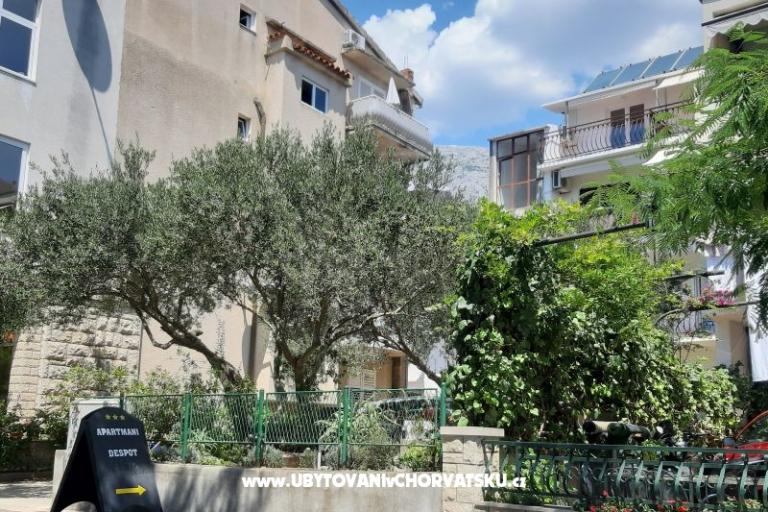 Apartmaji JD – foto 3