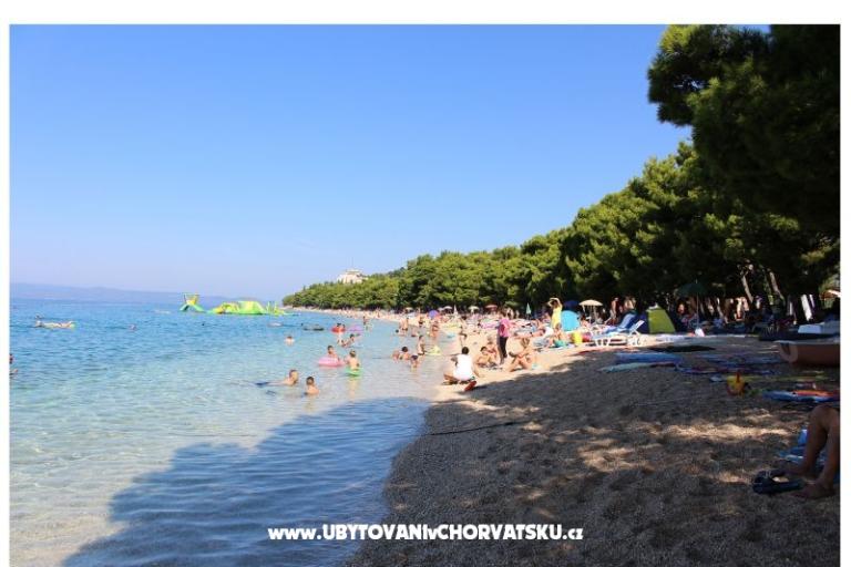Apartmaji Vesna - Hiša Covic – foto 10