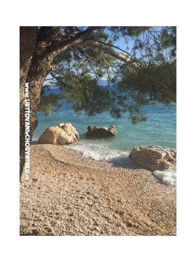 Apartmaji Vesna - Hiša Covic – foto 18