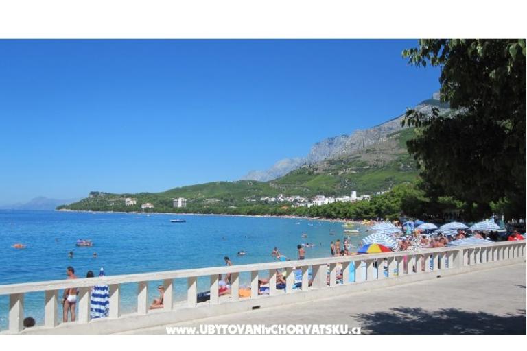 Vila Hermina – foto 17