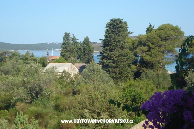 Apartmaji Branko Vidaković – foto 12