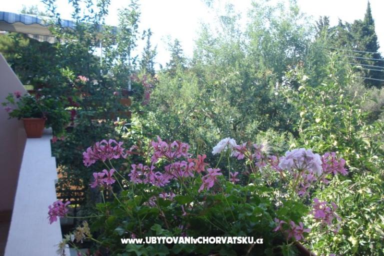 Apartmaji Branko Vidaković – foto 8