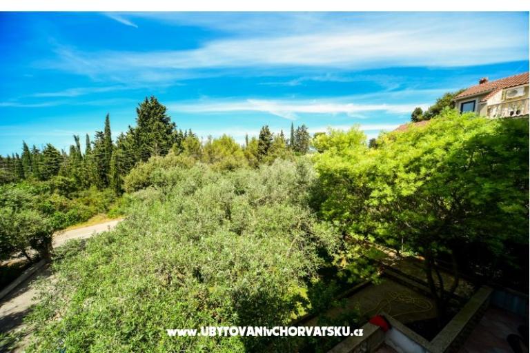 Apartmaji Mrva – foto 14