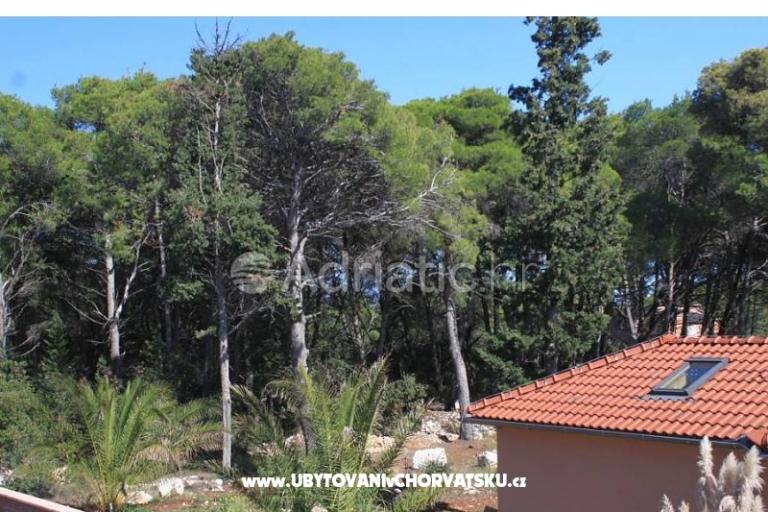 Apartmaji Mirjana – foto 14