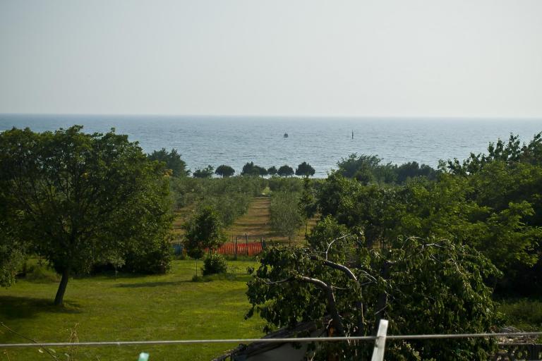 Apartmaji Paradinovic – foto 2