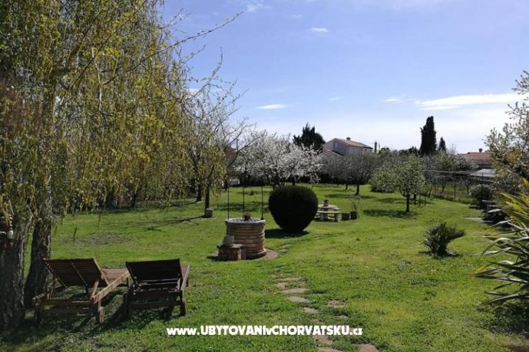 Apartmaji Jana – foto 8