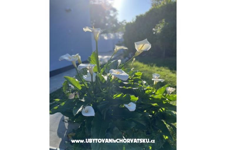 Holiday Hiša Gabi – foto 18