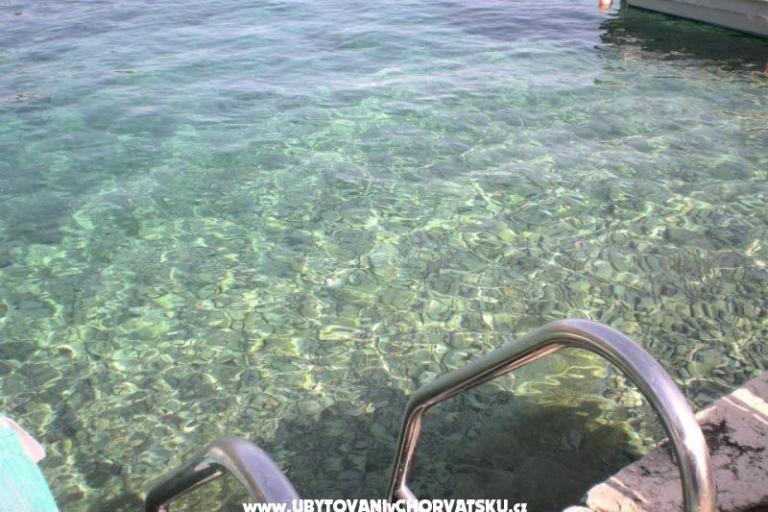 Hiša Villa Rosa – foto 17
