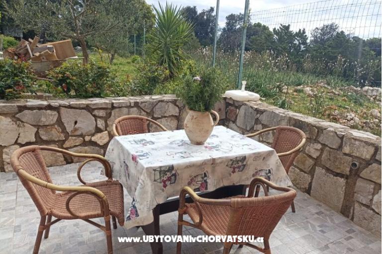 App Bonić – foto 104