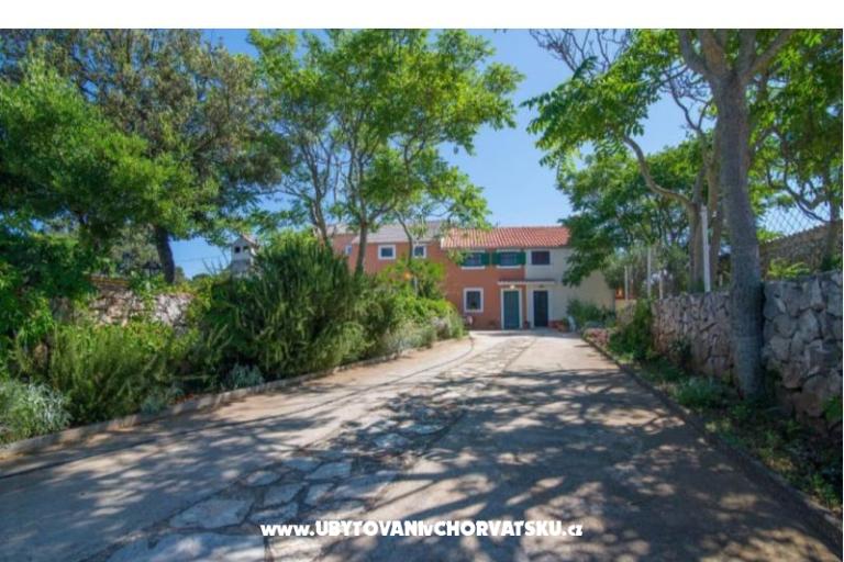 App Bonić – foto 143